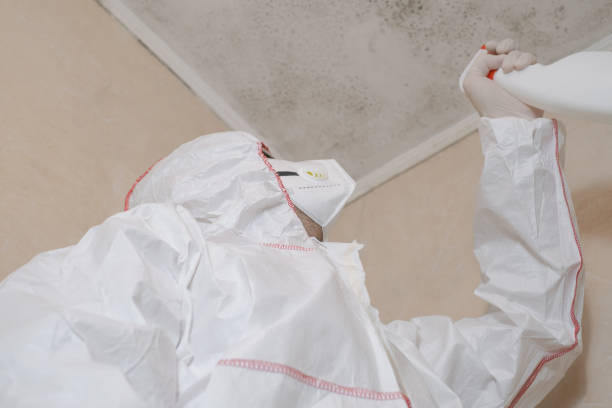 Mold Removal and Inspection in Cottage City, MD